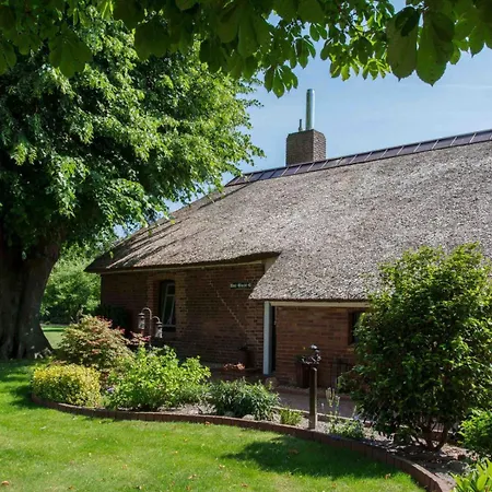 Holiday home Luettje Westerholt (Lower-Saxony)